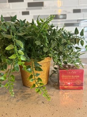 SADOER - Dragons Blood Anti Aging Face Cream